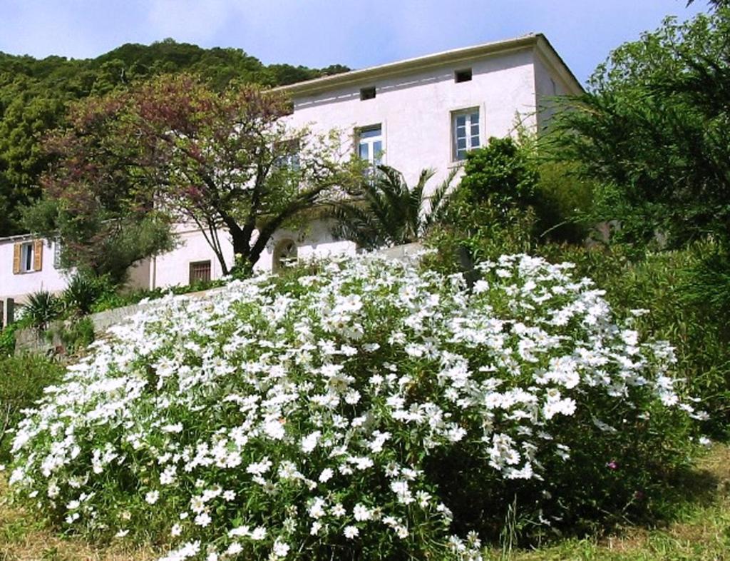 Casa A Rota Chambres D'Hotes Ersa 외부 사진
